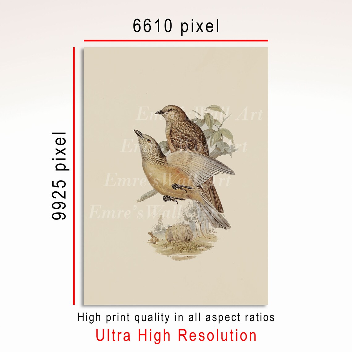 Vintage Rustic Birds Art Print, Neutral Brown Decor - Image 3