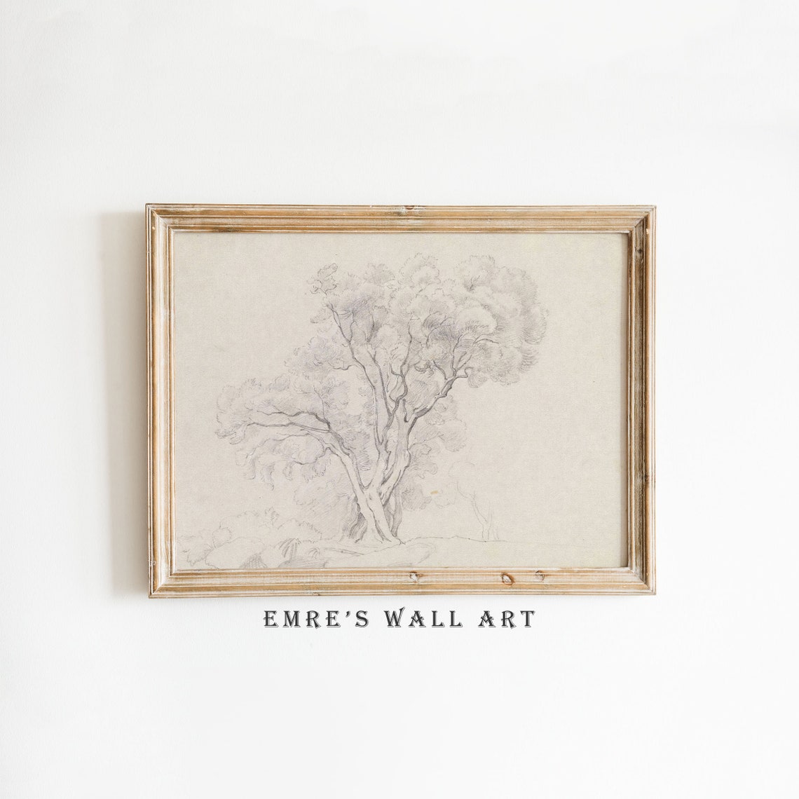 Tree Pencil Sketch Minimalist Botanical Drawing Neutral Wall Art