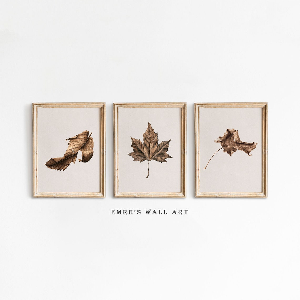 Pressed Autumn Leaves Botanical Trio Neutral Farmhouse Wall Print Set
