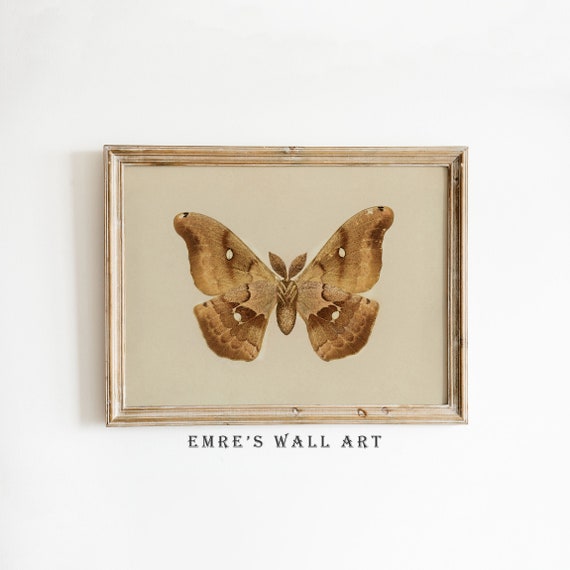 Vintage Butterfly Butterfly Sketch Art Minimalist Butterfly Wall Decor Antique Drawing Artwork
