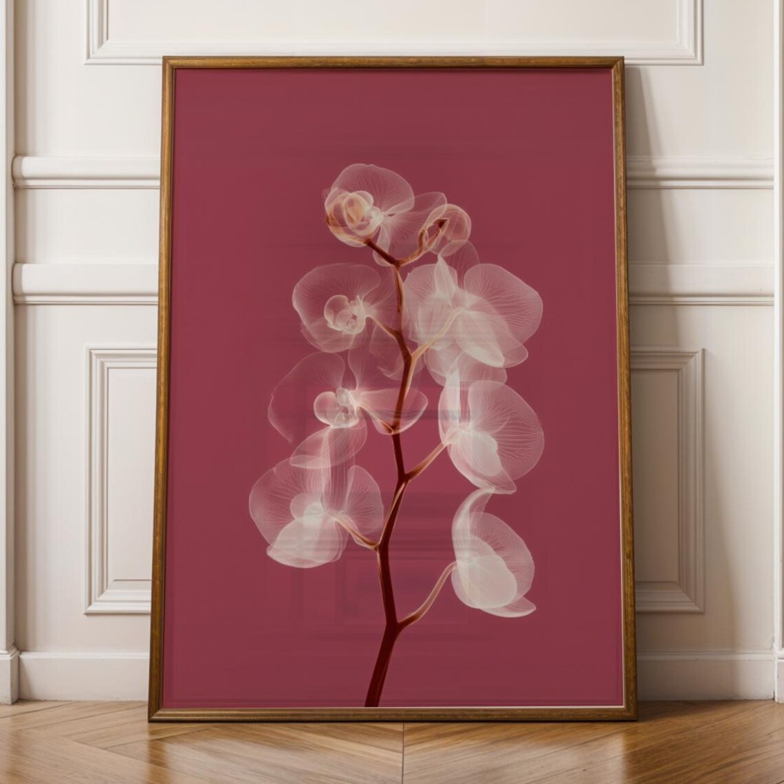 X Ray Orchid Flower Botanical Radiograph Poster