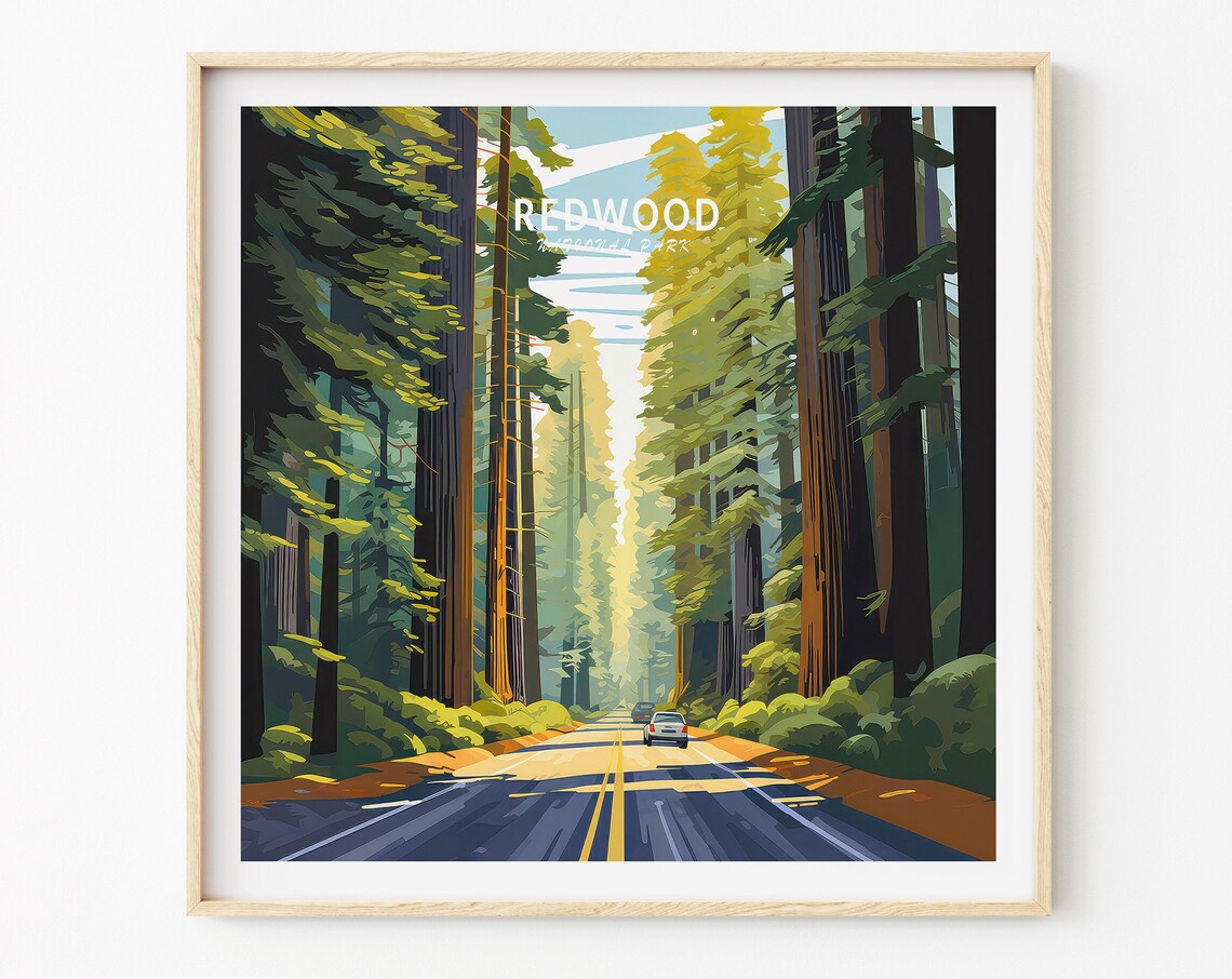 Redwood National Park Sunlit Forest Road Square Travel Poster - Image 3