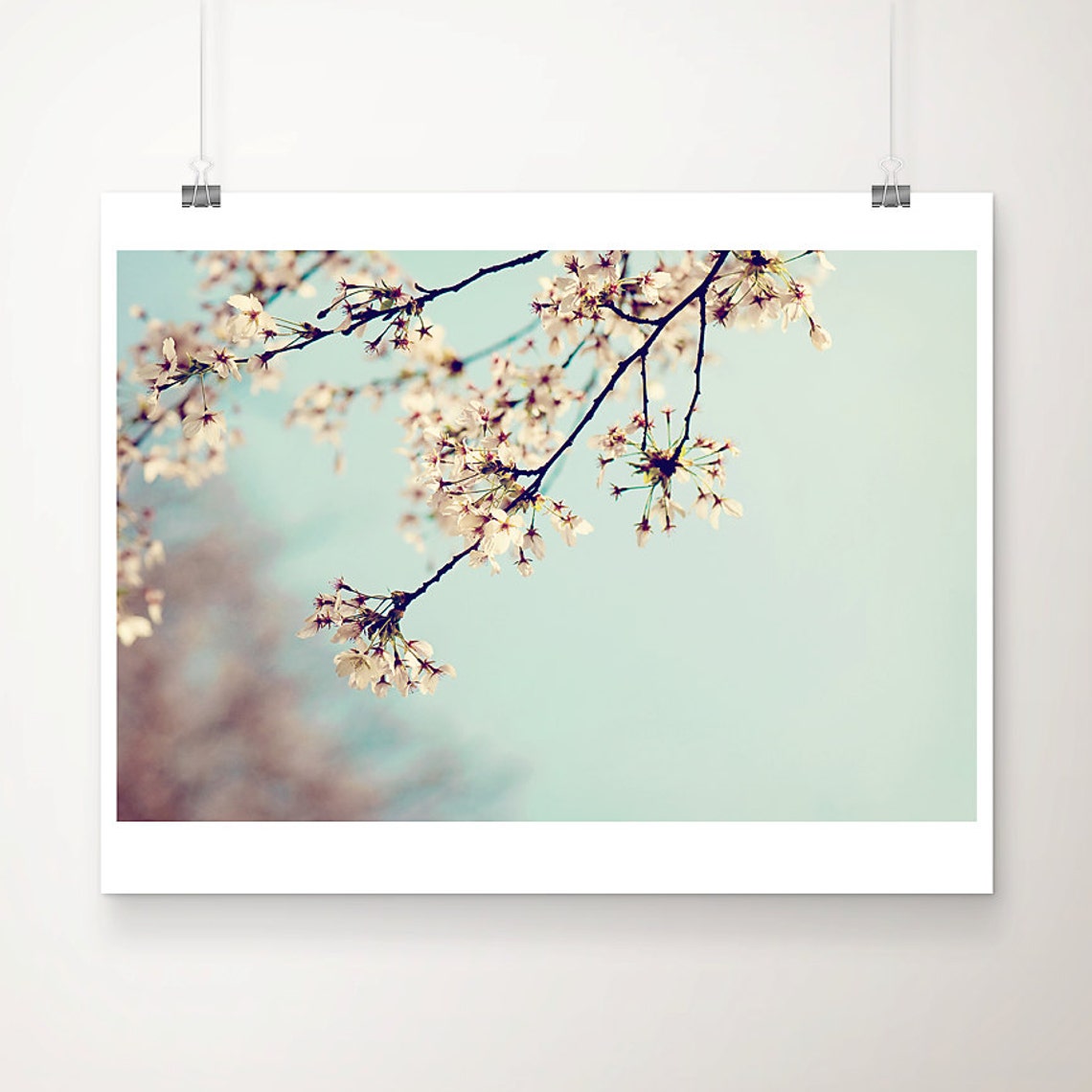 Cherry Blossom Photograph Pastel Botanical Print