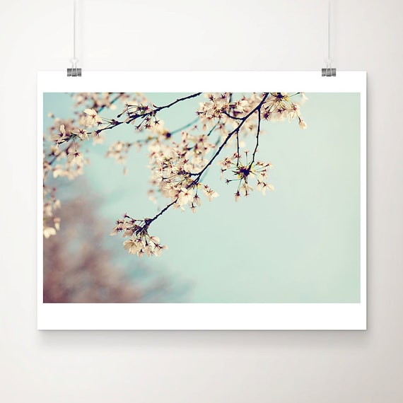 Cherry Blossom Branches Pastel Spring Floral Photography Print