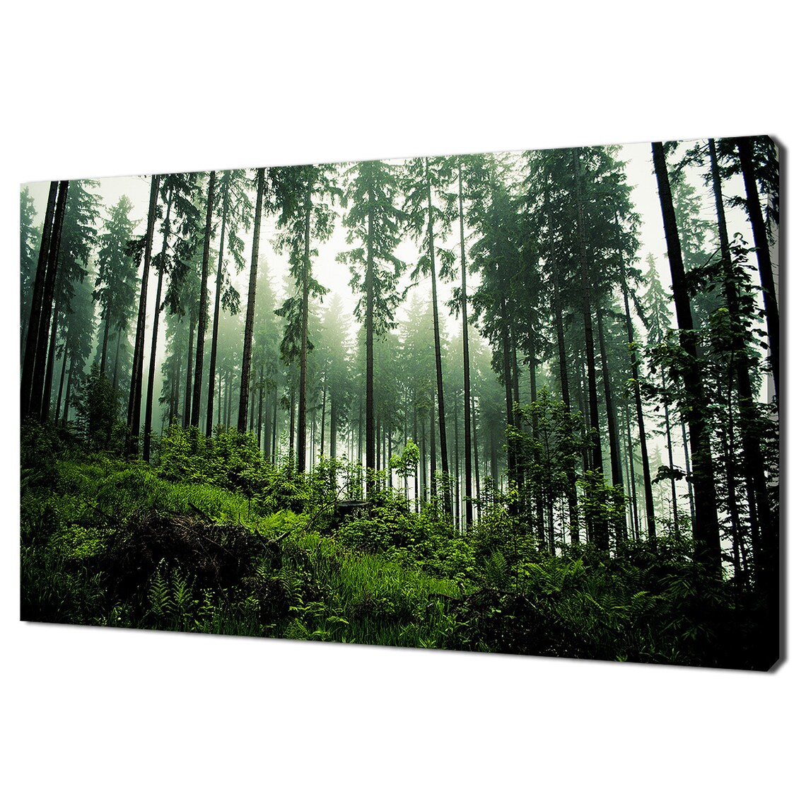 Tall Pines In Misty Dark Green Forest Fog Moody Nature Wall Poster