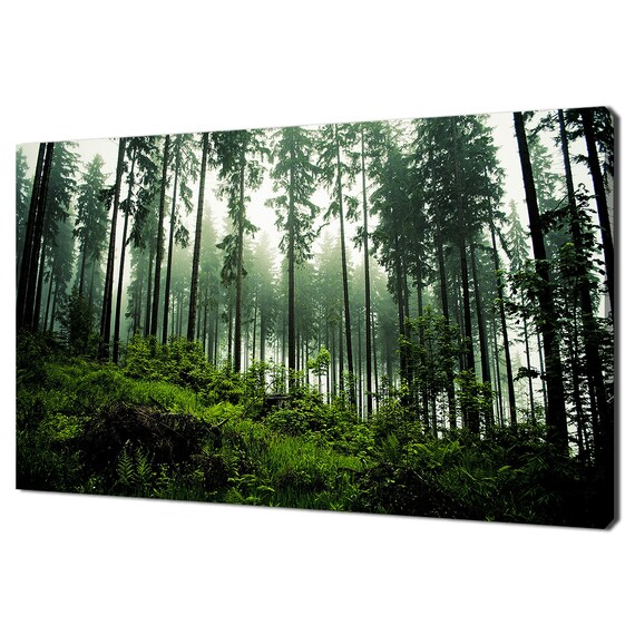 Morning In The Dark Green Foggy Forest Trees Modern Design Print Wall Art Picture