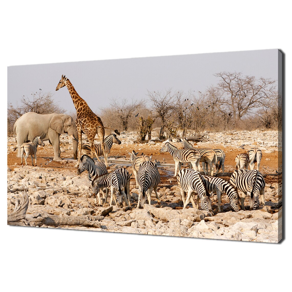 African Animals Around Water Hole Modern Design Home Decor Print Wall Art Picture Ready To Hang