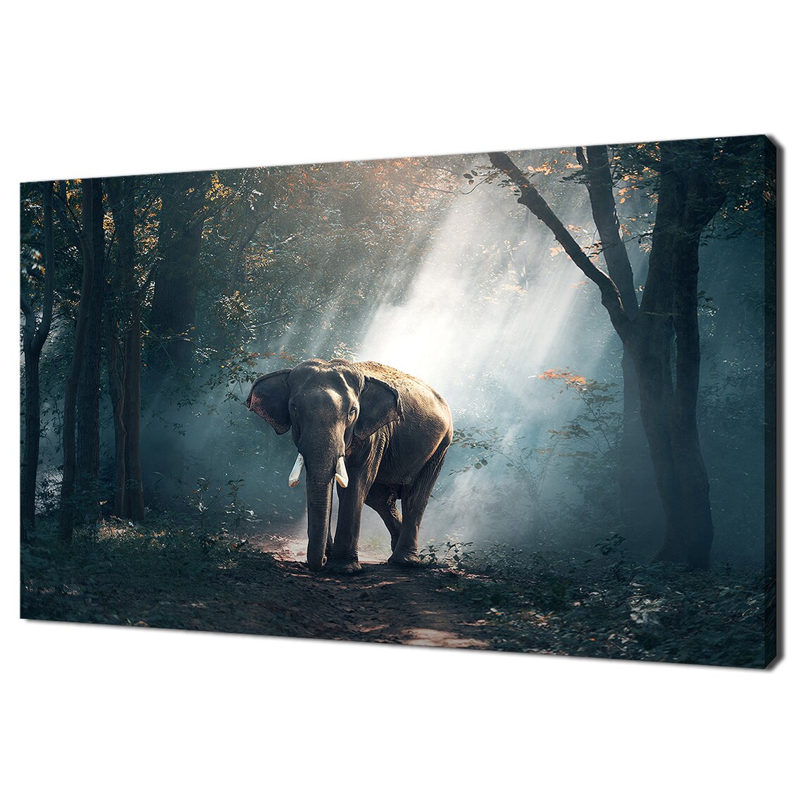African Elephant Walking Forest Sunbeams Majestic Wildlife Photography Art Poster