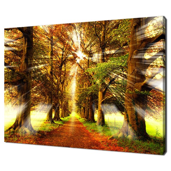 Radiant Clear Sunrays In The Woods Trees Forest Modern Design Home Decor Print Wall Art Picture