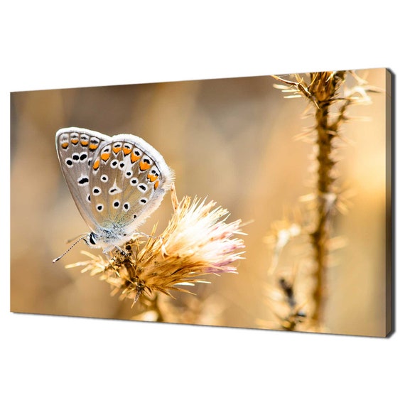 Beautiful Golden Butterfly On The Flower Modern Design Home Decor Print Wall Art Ready To Hang