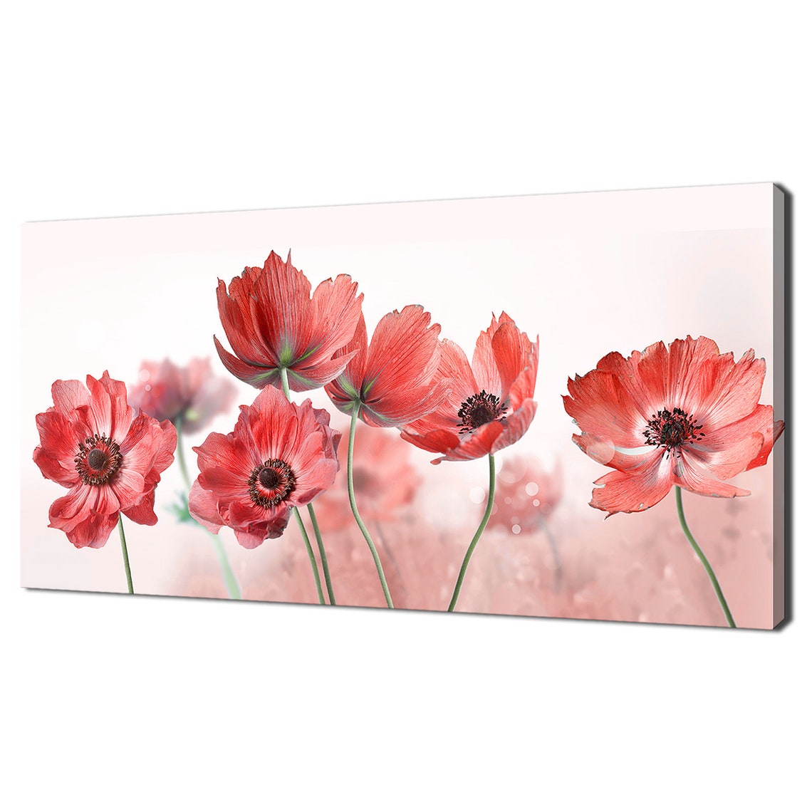 Red Anemone Flowers Blooming Soft Pink Panorama Floral Wall Art Print