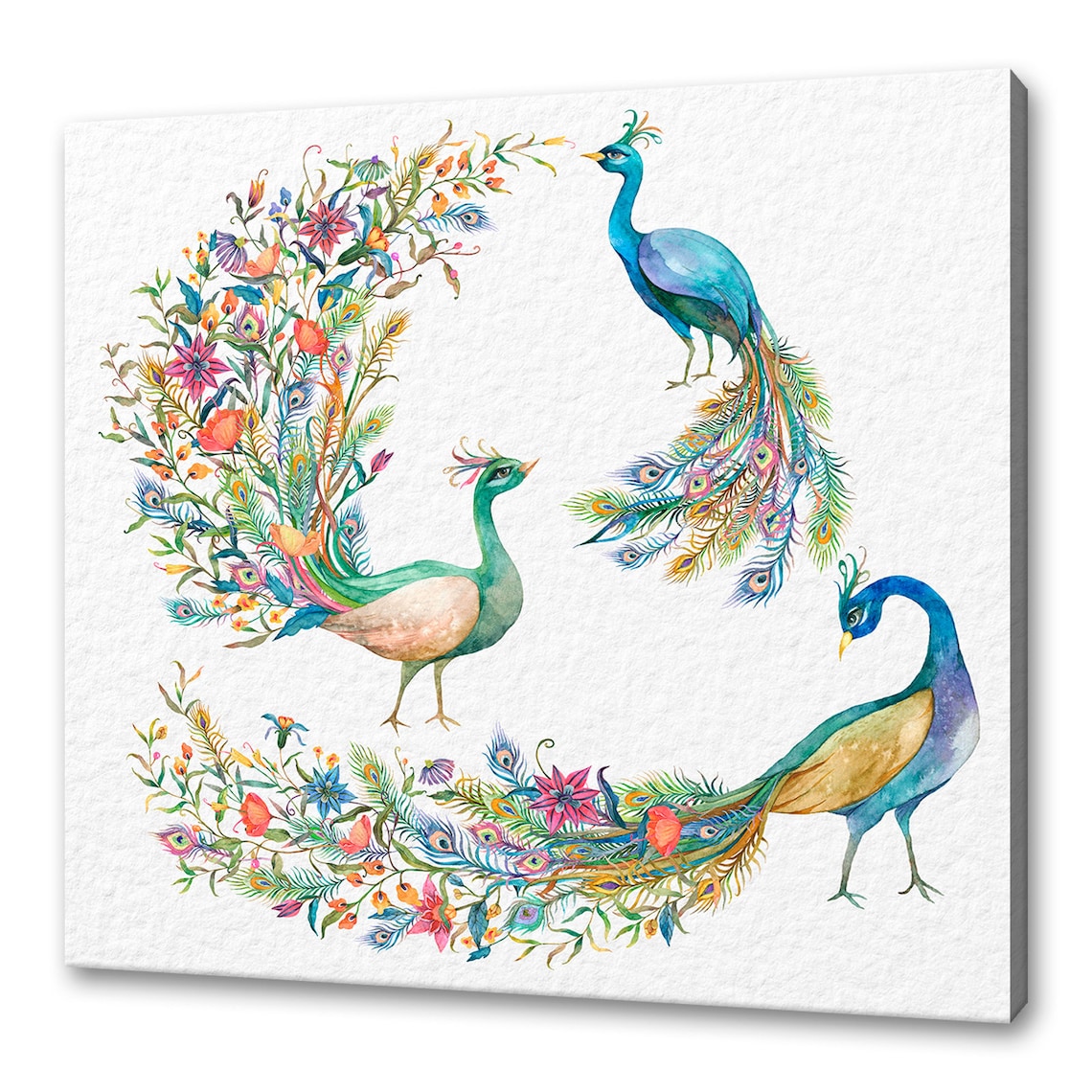 Peacock Birds Watercolor Modern Home Decor Art Print