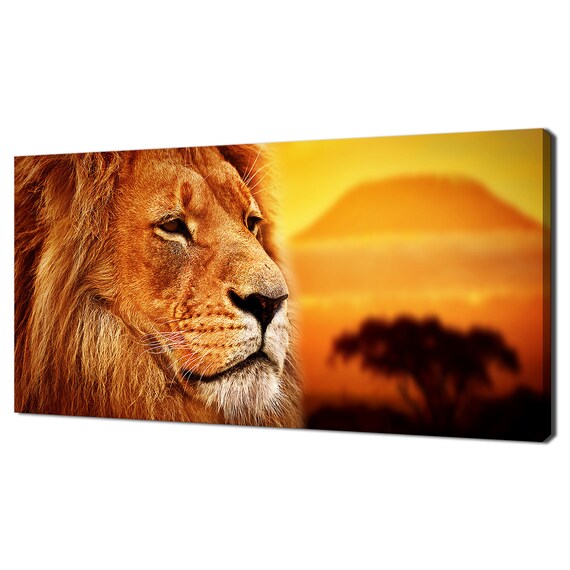 Majestic Lion Portrait With Mount Kilimanjaro Golden Sunset Savanna Poster