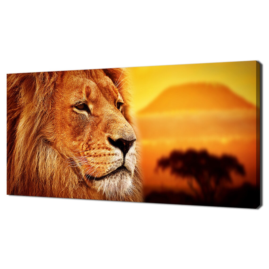 Majestic Lion Portrait With Mount Kilimanjaro Golden Sunset Savanna Poster