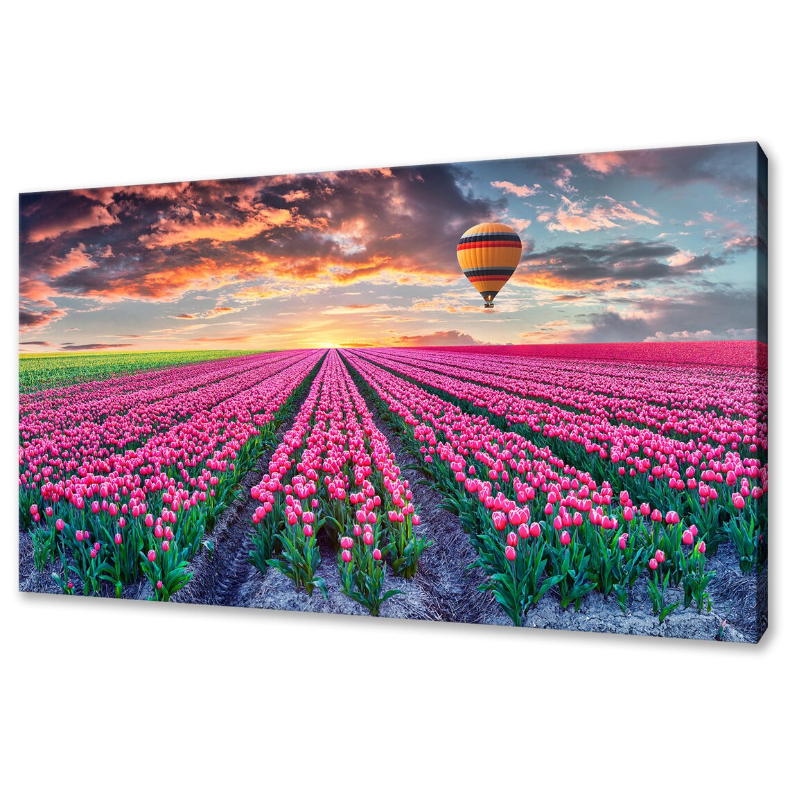 Pink Tulips Fields Hot Air Balloon Modern Art Print