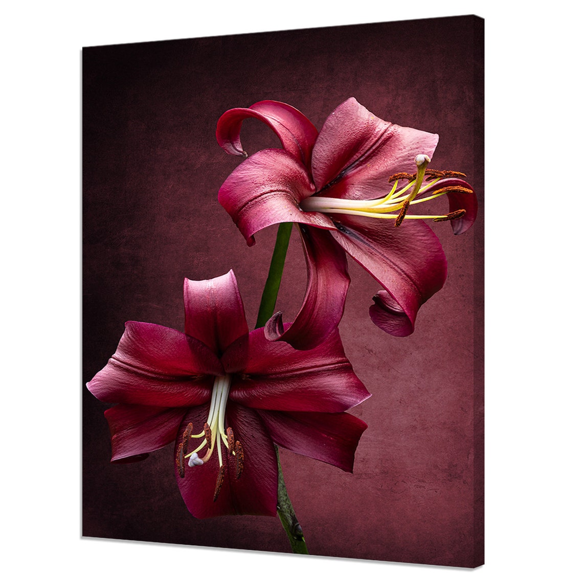 Elegant Red Lily Flowers Dark Moody Macro Botanical Wall Art Print