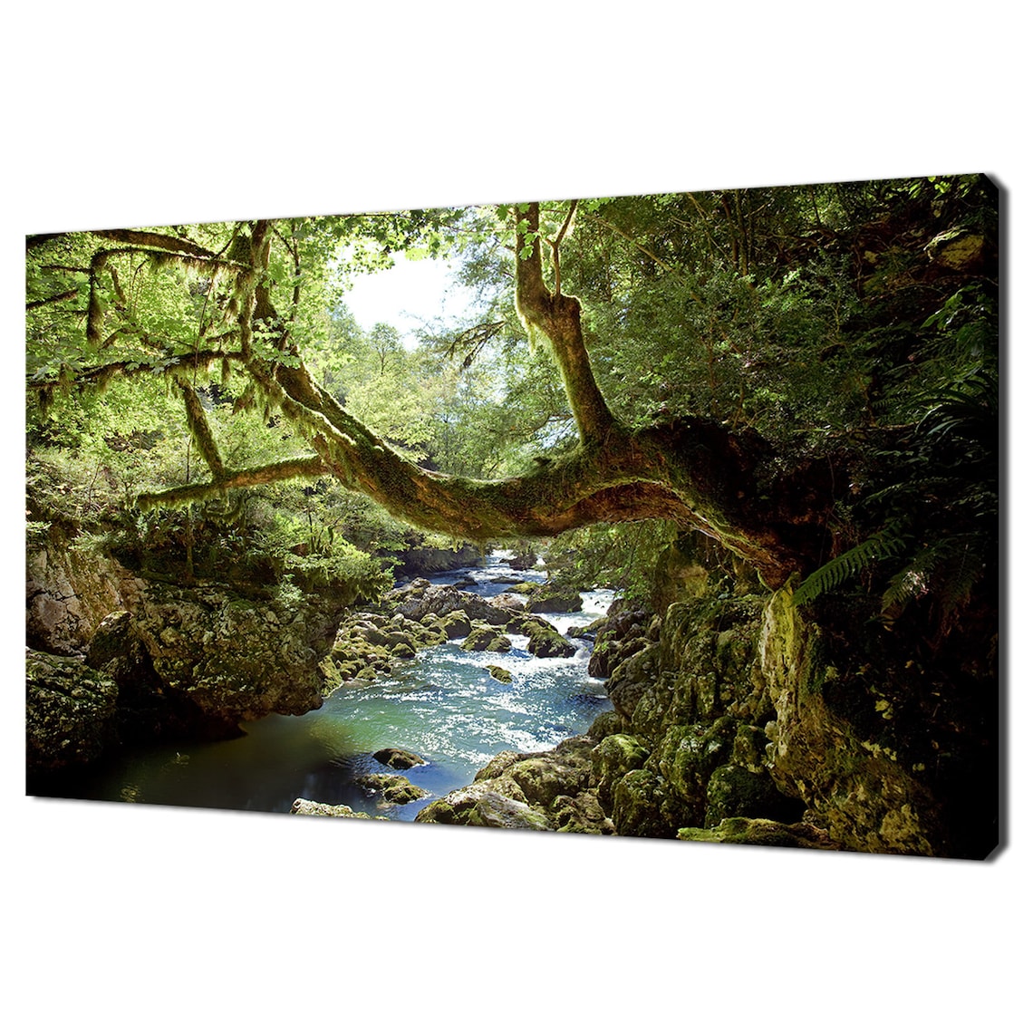 Deep Forest River Tree Modern Landscape Design Home Decor Print Wall Art Picture Wall Hanging