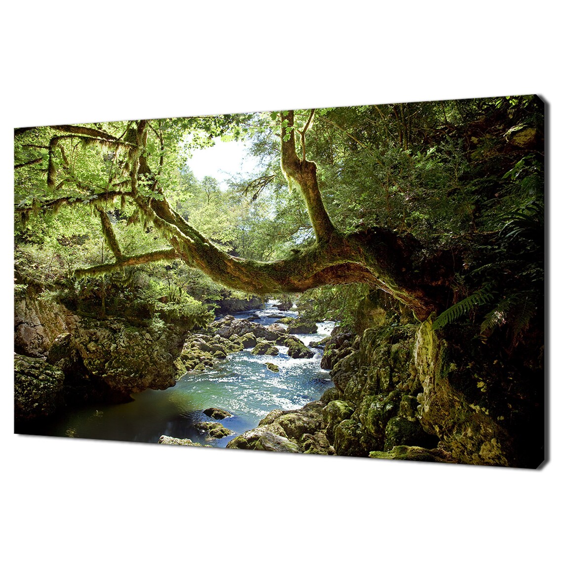 Mossy Forest River Rocky Gorge Lush Green Woodland Nature Wall Art