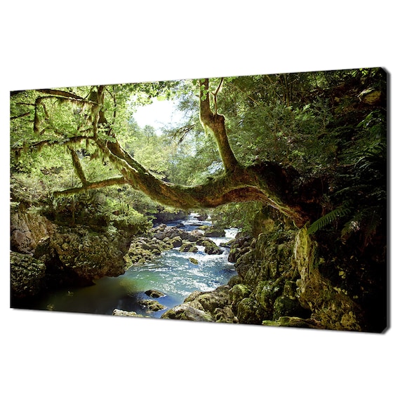 Deep Forest River Tree Modern Landscape Design Home Decor Print Wall Art Picture Wall Hanging