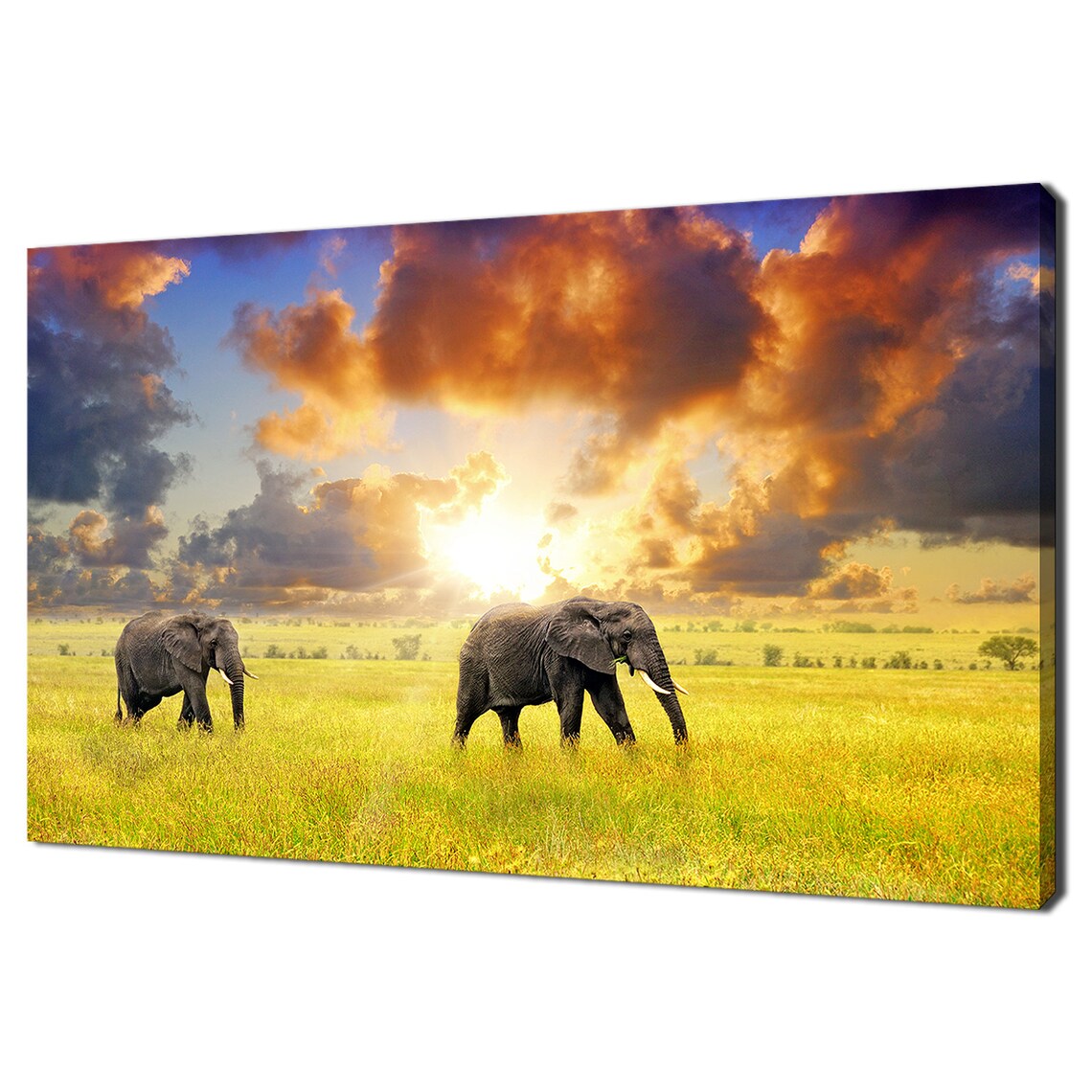 African Elephants Sunset Savannah Grassland Wildlife Safari Poster