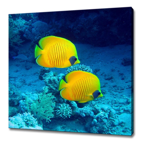 Butterfly Yellow Fish In The Blue Sea Modern Design Home Decor Print Wall Art Picture
