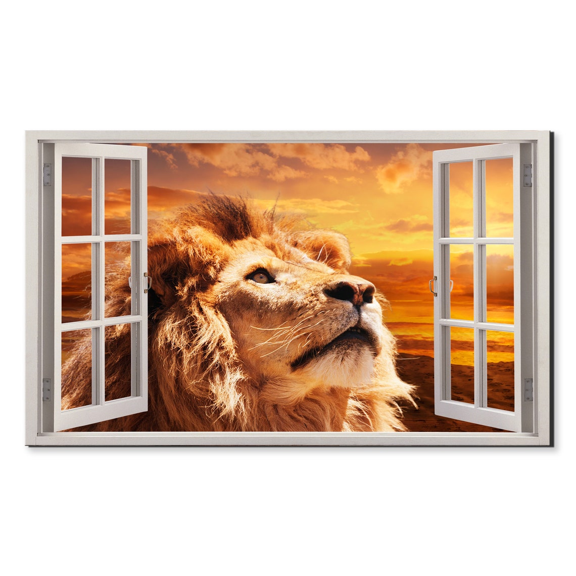 Lion At Sunset Through Open Window Illusion Wildlife Safari Poster