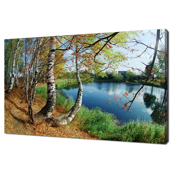 Birchwood Trees On Coast Of Lake Modern Design Home Decor Print Wall Art Picture Wall Hanging