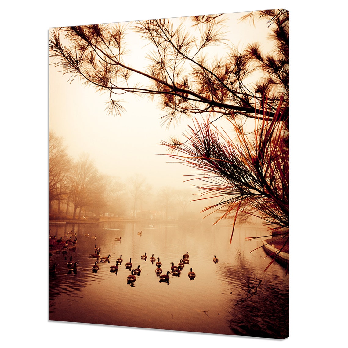 Misty Morning Pond Ducks Pine Branches Foggy Golden Nature Wall Art