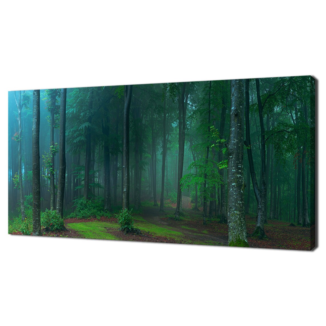 Foggy Forest Trees Panoramic Modern Art Print