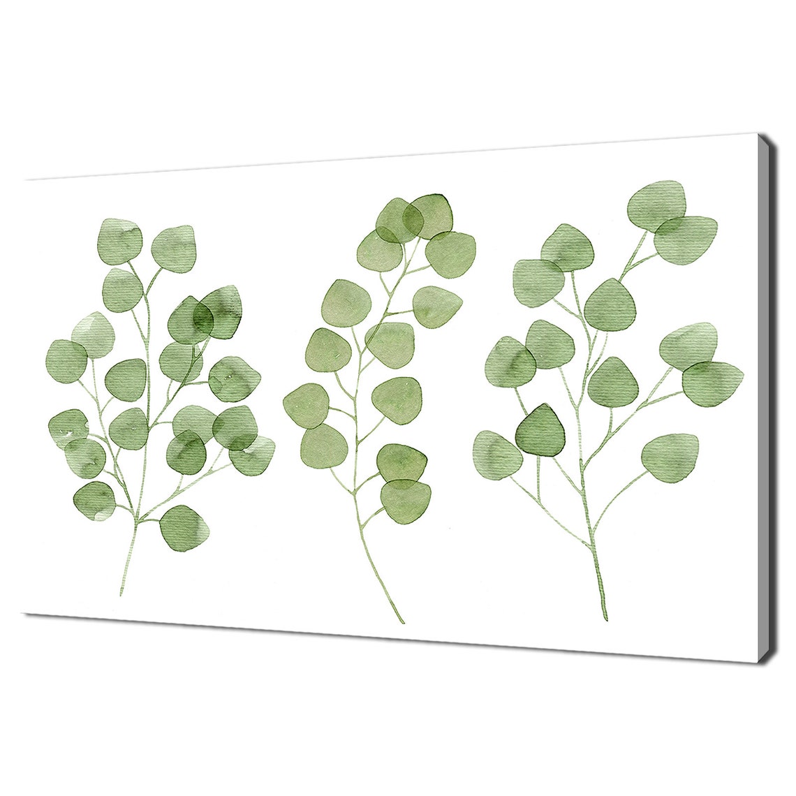Watercolor Eucalyptus Branches Minimalist Green Leaves Modern Print