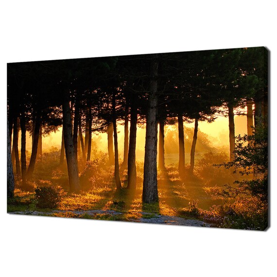 Beautiful Awakening Of Day In The Forest Sunrise Modern Design Home Decor Print Wall Art Picture Wall Hanging