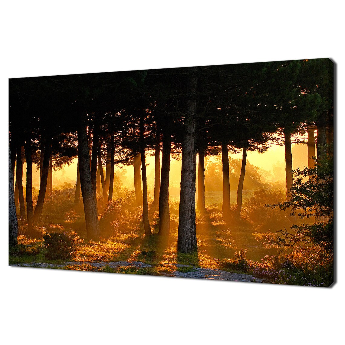 Beautiful Awakening Of Day In The Forest Sunrise Modern Design Home Decor Print Wall Art Picture Wall Hanging