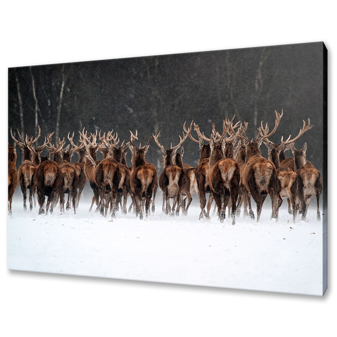 Deer Herd in the Snowy Forest, Modern Art Print