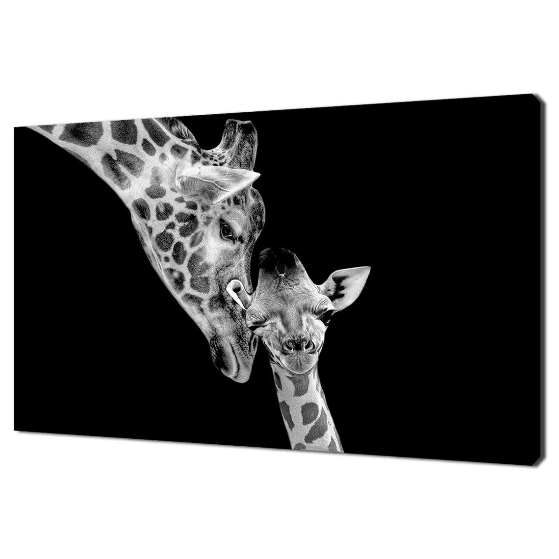 Mother and Baby Giraffe, Black White Modern Art Print