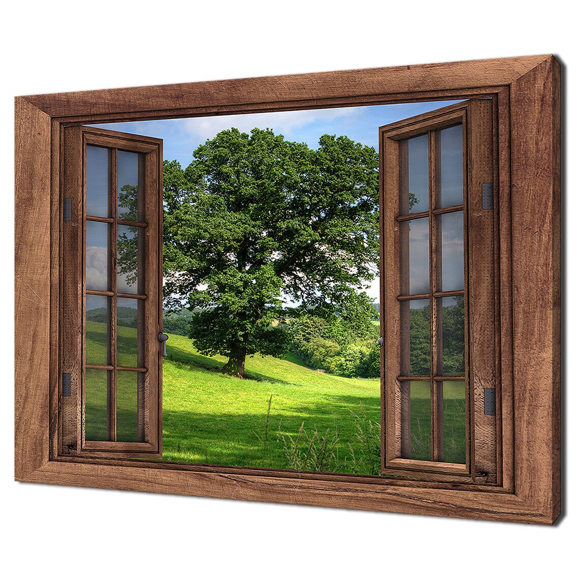 Lonely Green Tree Window View, Modern Design