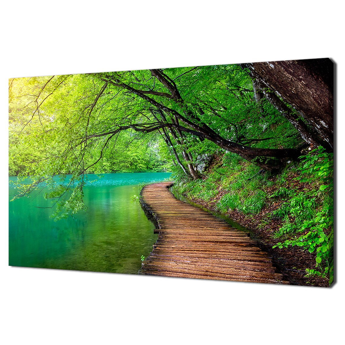 Beautiful Green Deep Forest Stream Wooden Path Modern Design Home Decor Print Wall Art Wall Hanging