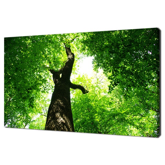 Looking Up Green Forest Tree Modern Art Print