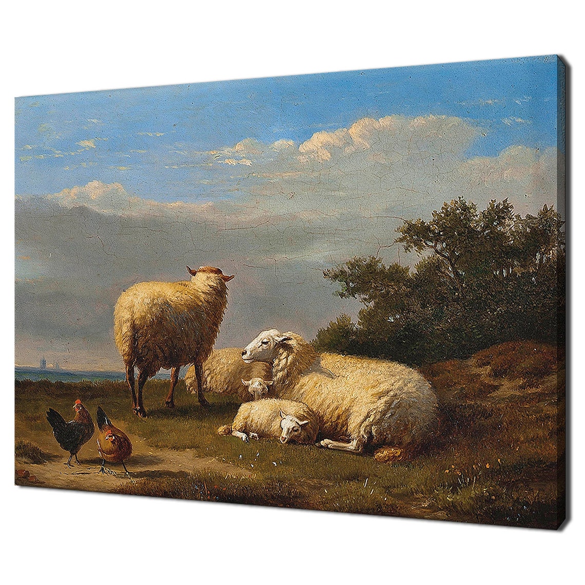 Victorian Sheep And Poultry In Pasture Antique Farm Animals Art Poster