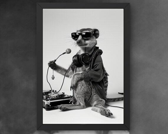 Funny Meerkat Dj Poster Meerkat With Sunglasses And Microphone Humorous Animal Art Wall Decor For Music Lovers