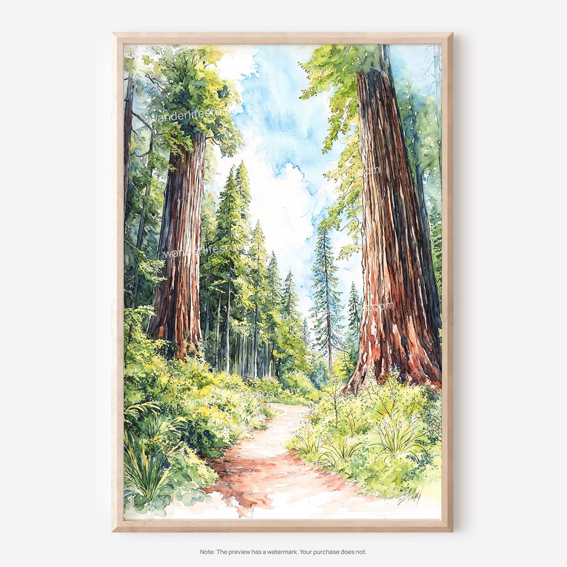 Redwood Forest Trail Sequoia Trees Watercolor Nature Painting Print