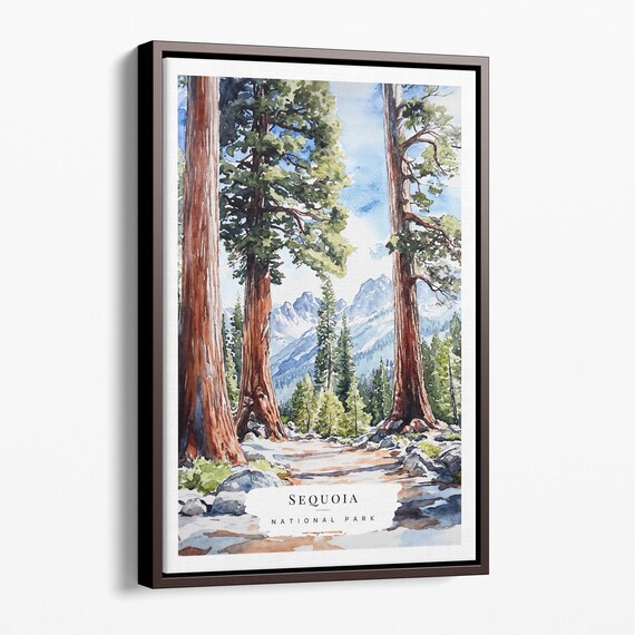 Sequoia National Park Giant Redwood Trees Watercolor Travel Poster