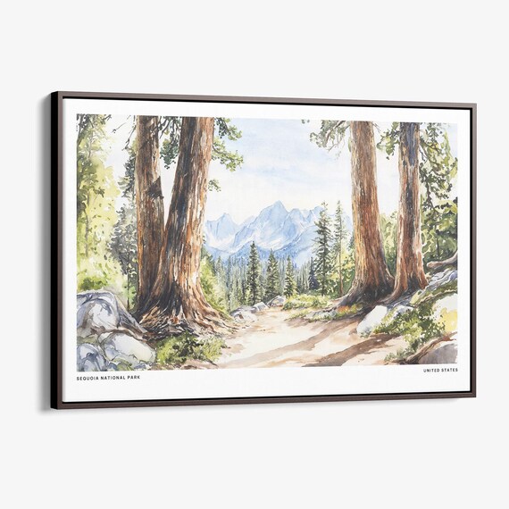 Sequoia National Park Giant Redwood Forest Watercolor Art Poster
