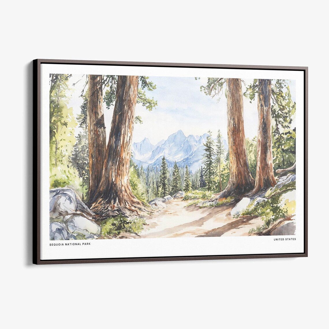 Sequoia National Park Giant Redwood Forest Watercolor Art Poster
