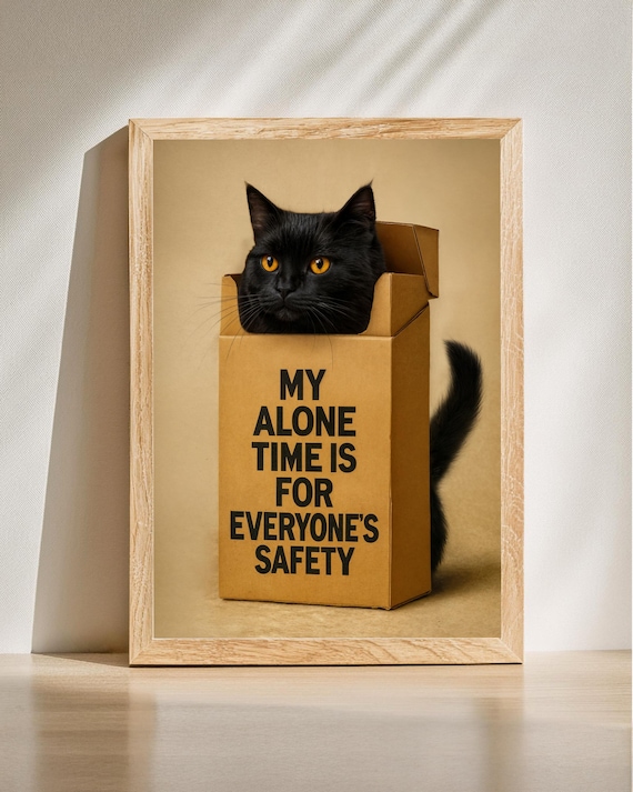 Black Cat in Box My Alone Time Funny Sarcastic Cat Quote Poster