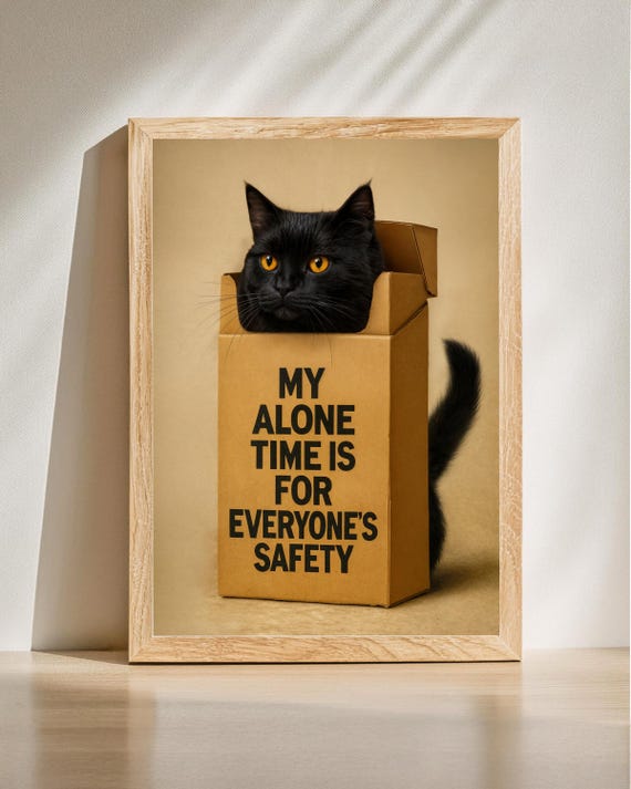 Funny Black Cat Poster My Alone Time Is For Everyones Safety Lover Gift Introvert Wall Art
