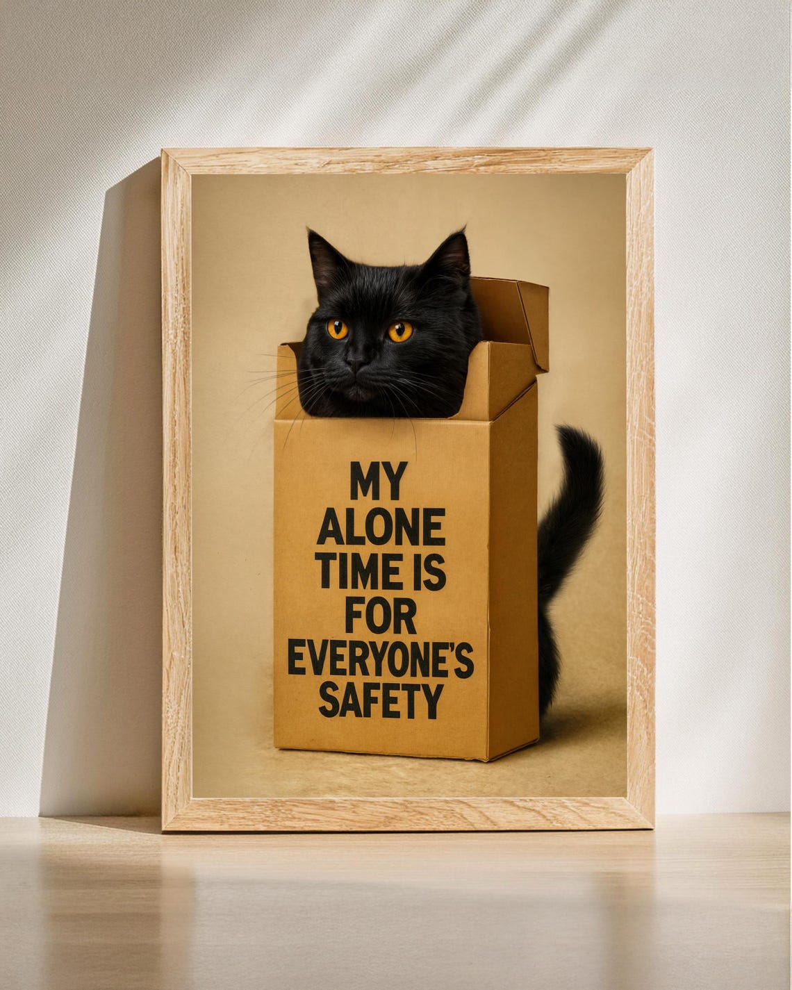Black Cat in Box My Alone Time Funny Sarcastic Cat Quote Poster