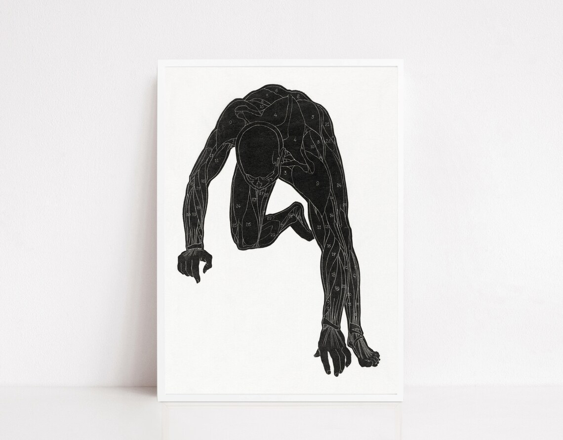Reijer Stolk Human Body Anatomical Silhouette Black Vintage Poster
