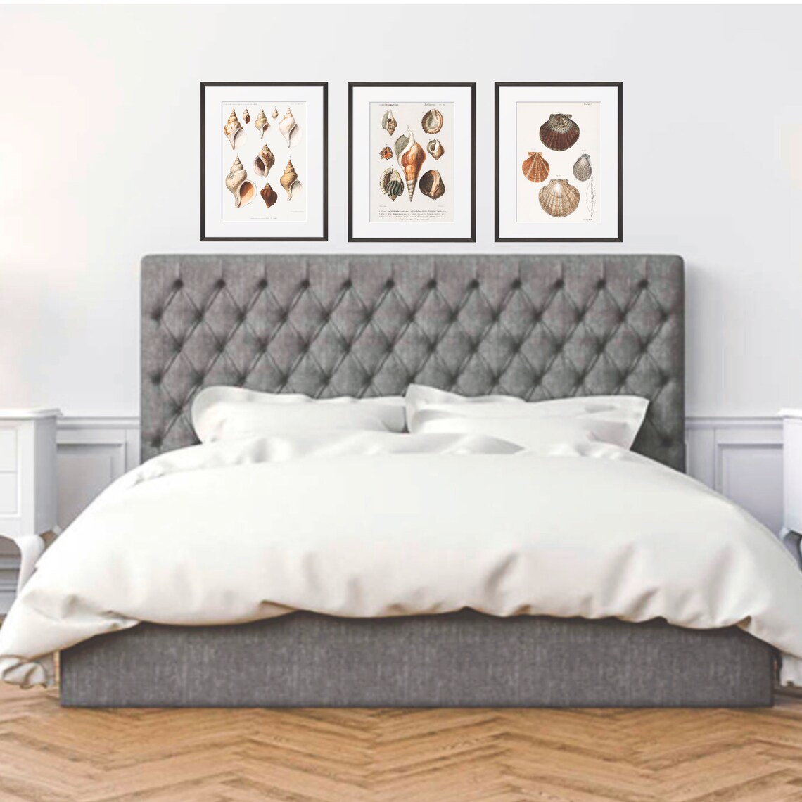 Seashells Vintage Shells Illustration, Coastal Decor - Image 2