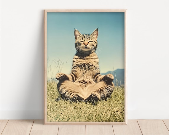 Meditating Tabby Cat Zen Yoga Funny Retro Pet Photography Wall Art