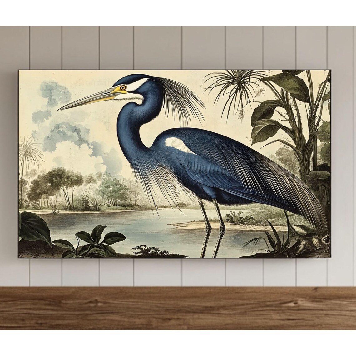 Great Blue Heron Tropical Bird Vintage Wildlife Illustration Poster